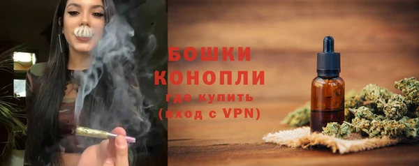 крисы Гусь-Хрустальный