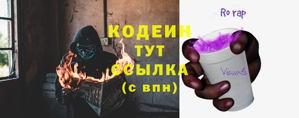 крисы Гусь-Хрустальный