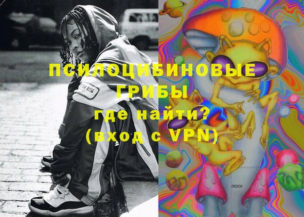 крисы Гусь-Хрустальный