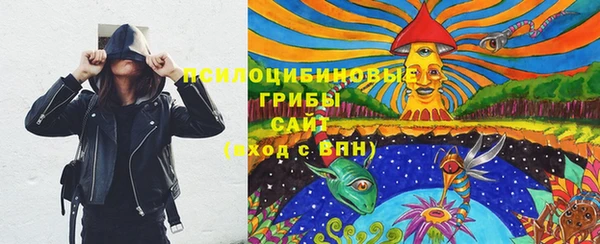 крисы Гусь-Хрустальный