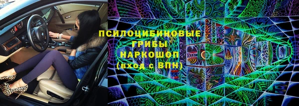 ГАЛЛЮЦИНОГЕННЫЕ ГРИБЫ Новокубанск